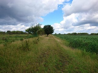 Casa per le vacanze Stege  19