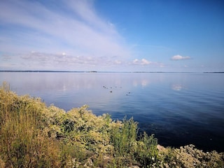 Casa per le vacanze Stege  20