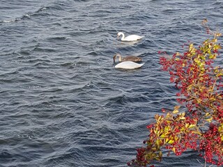 Casa per le vacanze Stege  22