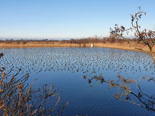 Casa de vacaciones Stege  35