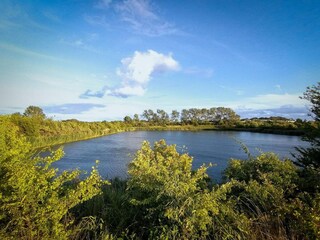 Casa per le vacanze Stege  29