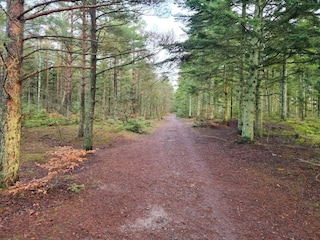 Holiday house Aalbæk  29