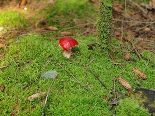 Holiday house Aalbæk  31