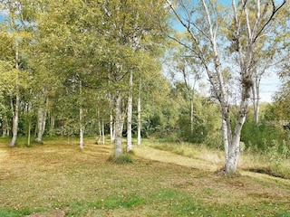 Ferienhaus Læsø  4