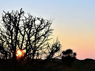 Casa per le vacanze Læsø  19