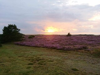 Casa per le vacanze Læsø  7