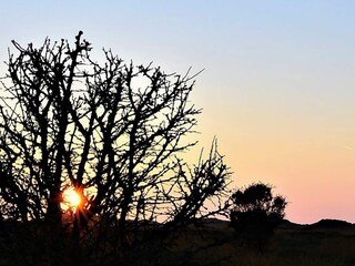 Casa de vacaciones Læsø  20