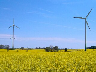 Vakantiehuis Grömitz  21