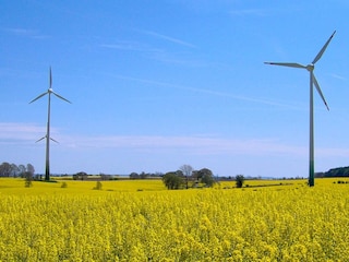Ferienhaus Grömitz  24