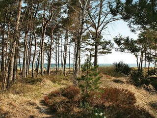 Ferienhaus Balka Strand  12