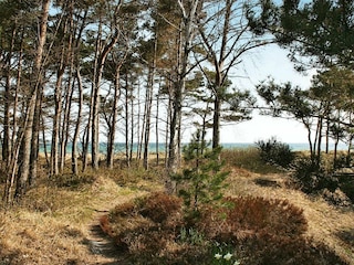 Ferienhaus Balka Strand  13