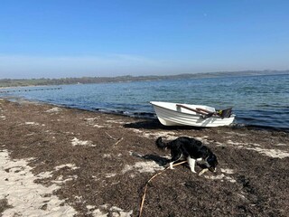 Maison de vacances Broager  21