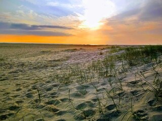 Appartamento Fanø Bad  16