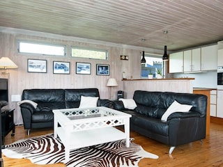Holiday house Knebel  4