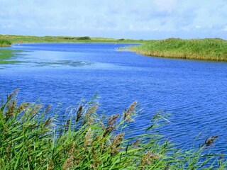 Vakantiehuis Bork Havn  19