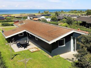 8 Personen Ferienhaus in Bogense - Brenderup - image1