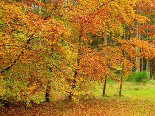 Vakantiehuis Truust  11