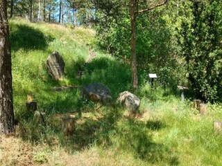 Vakantiehuis Truust  18