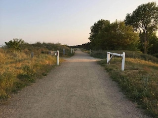 Ferienhaus Vaeggerløse  13