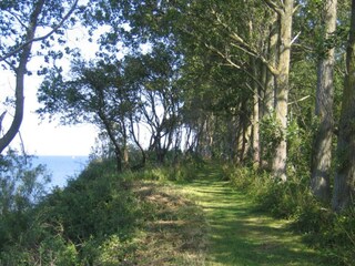 Casa per le vacanze Købingsmark  16