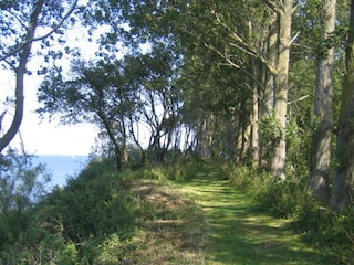 Ferienhaus Købingsmark  17