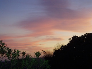 The sunset