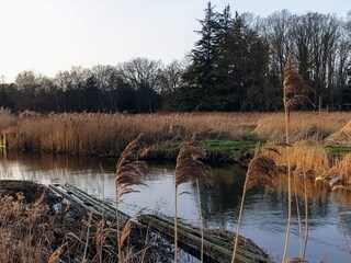 Ferienhaus Bjerge Strand  19