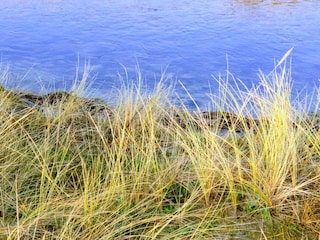 Holiday house Bjerge Strand  32