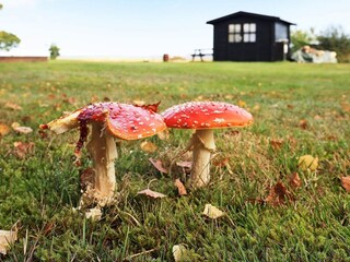 Casa de vacaciones Virksund Grabación al aire libre 5