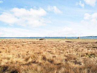 Ferienhaus Virksund  36