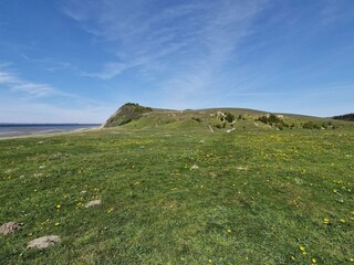 Ferienhaus Virksund  13