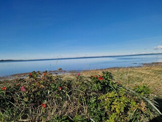 Casa per le vacanze Virksund  19