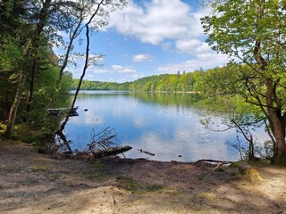 Maison de vacances Gjern  29