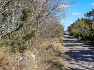 Vakantiehuis Thyholm Buitenaudio-opname 5