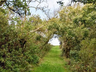 Holiday house Thyholm  36