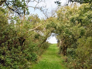 Vakantiehuis Thyholm  36