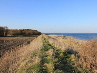 Casa per le vacanze Thyholm  25