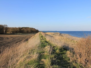 Vakantiehuis Thyholm  38