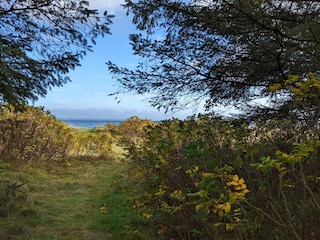 Holiday house Thyholm  25