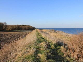 Vakantiehuis Thyholm  37