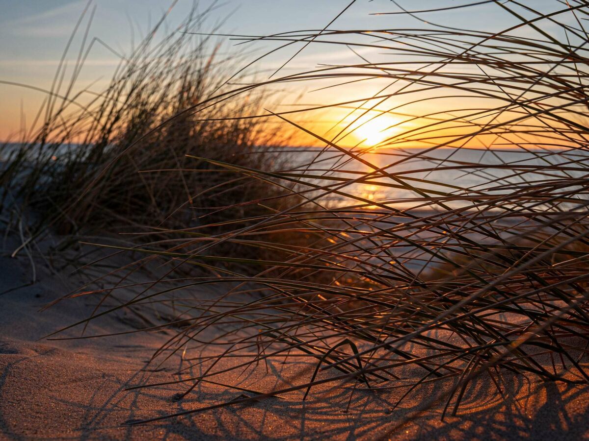 Vakantiehuis Blokhus  14