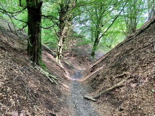 Holiday house Tranum Strand  31