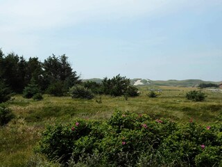 Holiday house Haurvig  21