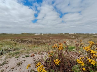 Vakantiehuis Haurvig  25