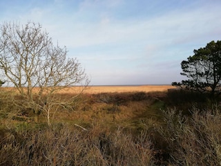 Vakantiehuis Haurvig  28