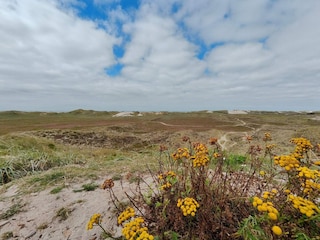 Ferienhaus Haurvig  34