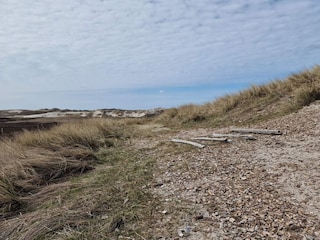 Ferienhaus Haurvig  35