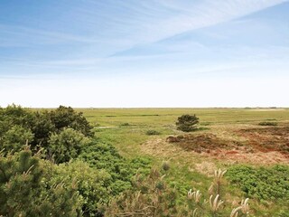 Vakantiehuis Blåvand  23