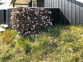 Holiday house Blåvand Outdoor Recording 2