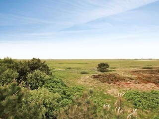 Vakantiehuis Blåvand  43